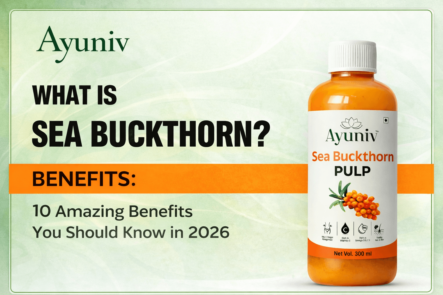 What is Sea Buckthorn? 10 Amazing Benefits of you should know...