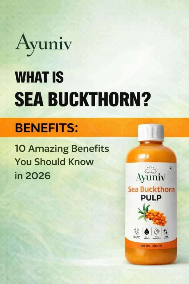 What is Sea Buckthorn? 10 Amazing Benefits of you should know...
